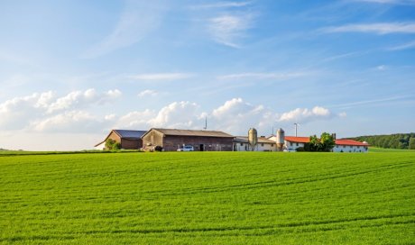 Faivre Maçonnerie, votre partenaire de confiance pour la construction de bâtiments agricoles à Lacrost