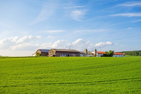 Faivre Maçonnerie, votre partenaire de confiance pour la construction de bâtiments agricoles à Lacrost